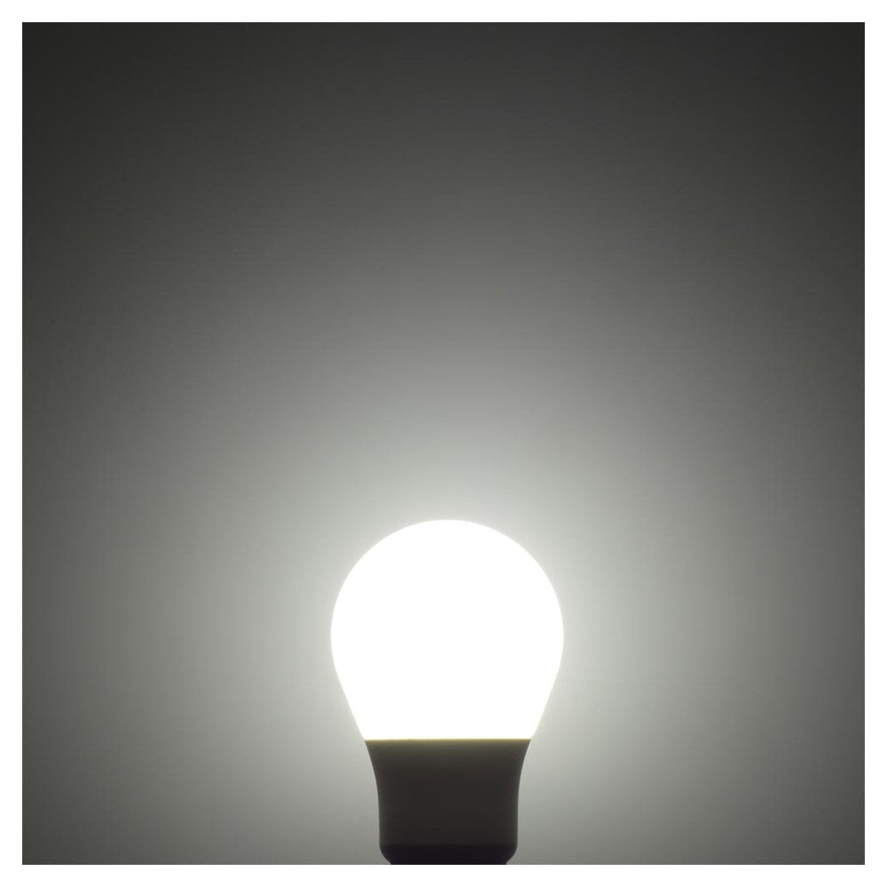 Ohm Electric LED Bulb Equivalent to 60W Daylight (2 Pack)