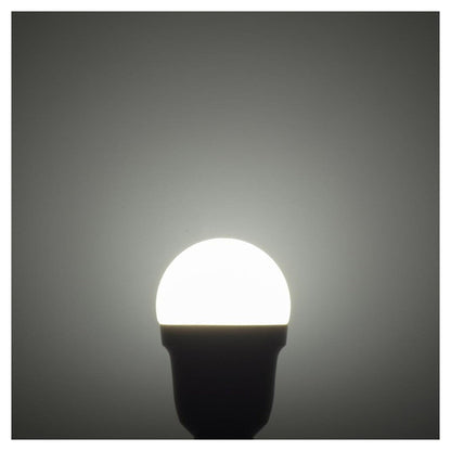 Ohm Electric LED Bulb Small 25W Equivalent Daylight White
