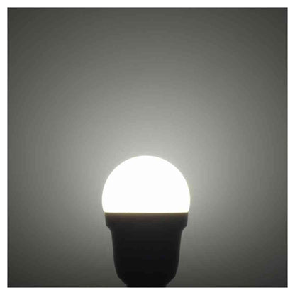 Ohm Electric LED Bulb Small 40W Daylight White 2-Pack