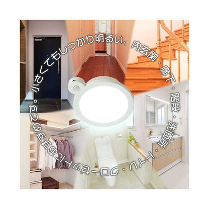 Ohm Electric LED Mini Ceiling Light 60W Equivalent - Daylight Color with Sensor
