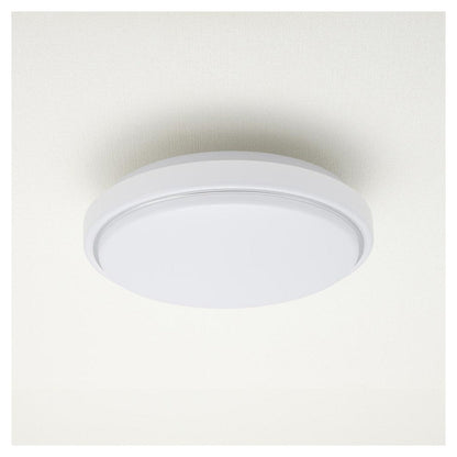 Ohm Electric LED Indoor Entrance Light Daylight Color
