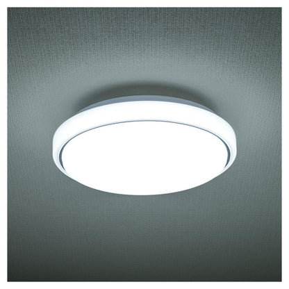 Ohm Electric LED Indoor Entrance Light Daylight Color