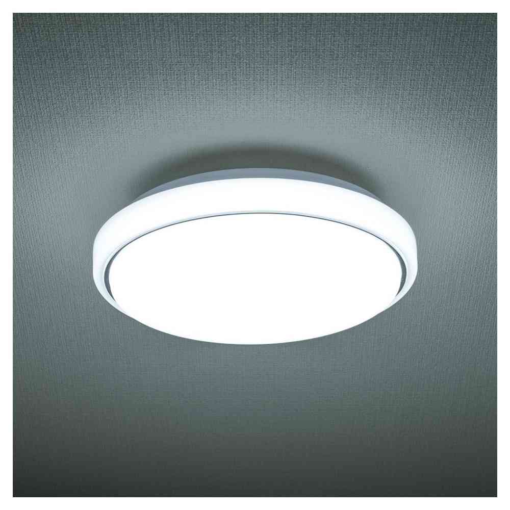 Ohm Electric LED Indoor Entrance Light Daylight Color