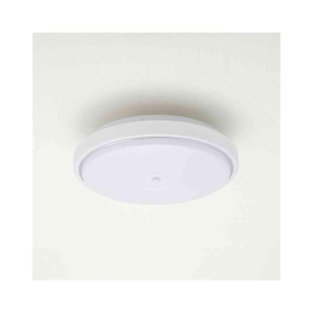 Ohm Electric LED Indoor Entrance Light with Sensor Daylight Color