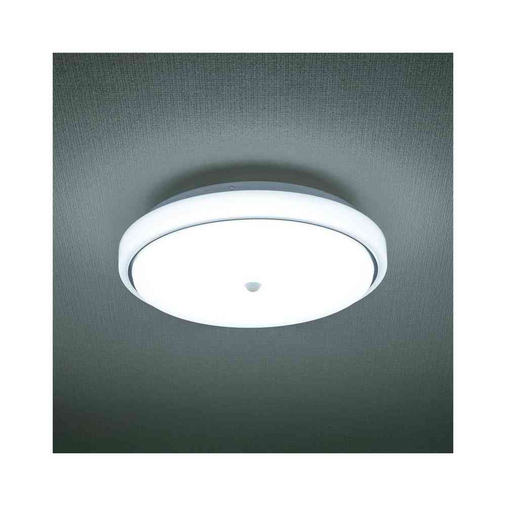 Ohm Electric LED Indoor Entrance Light with Sensor Daylight Color