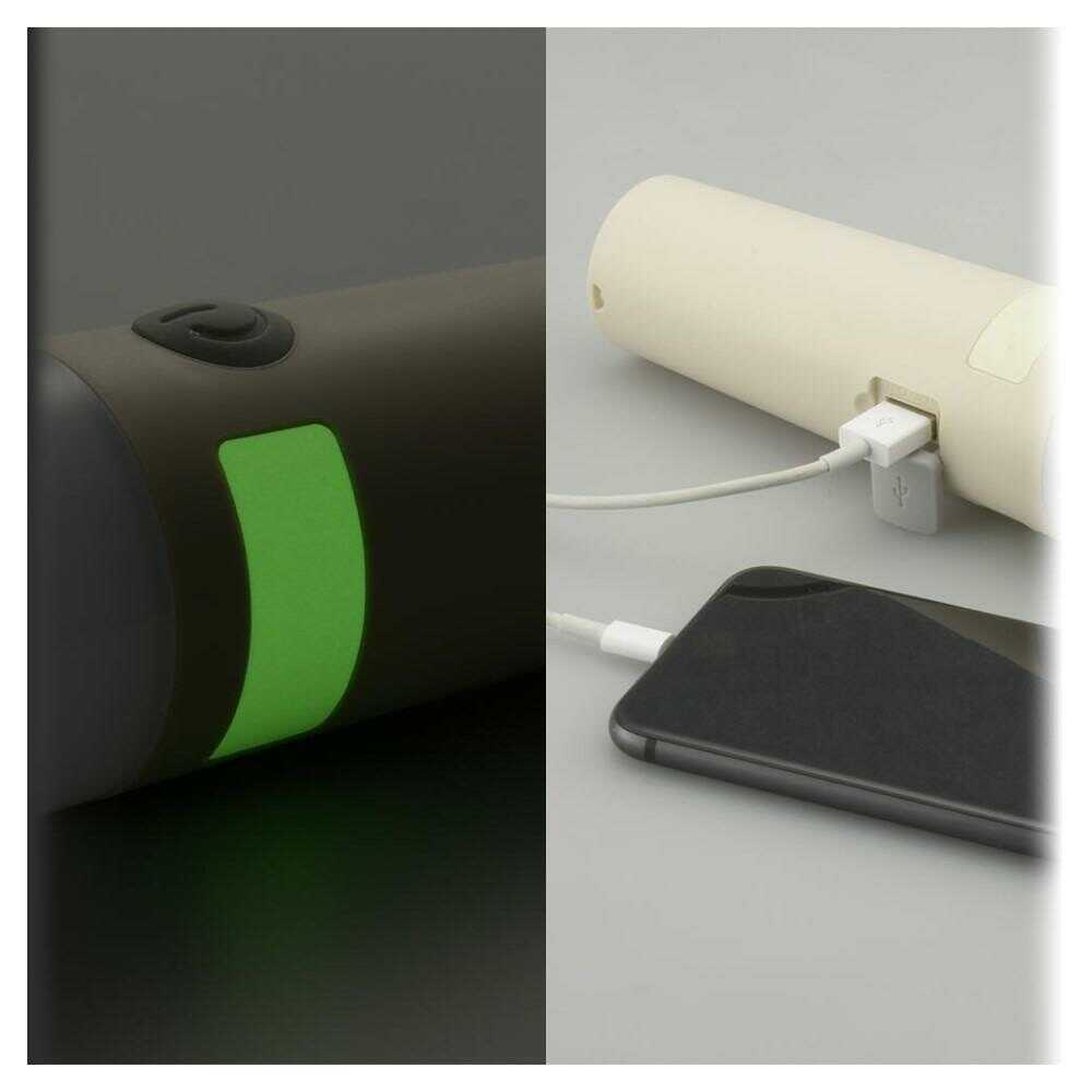 Ohm Electric LED Torch Light & Lantern 300 Lumens (1 Unit)