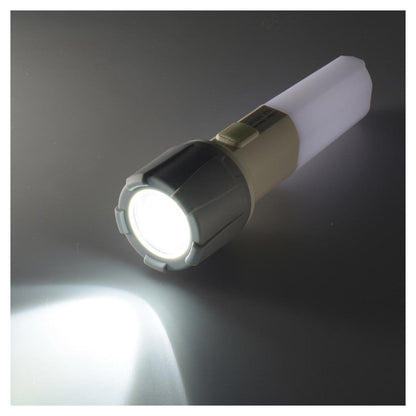 Ohm Electric LED Torch Light & Lantern