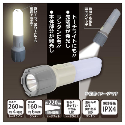 Ohm Electric LED Torch Light & Lantern