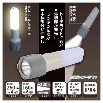 Ohm Electric LED Torch Light & Lantern