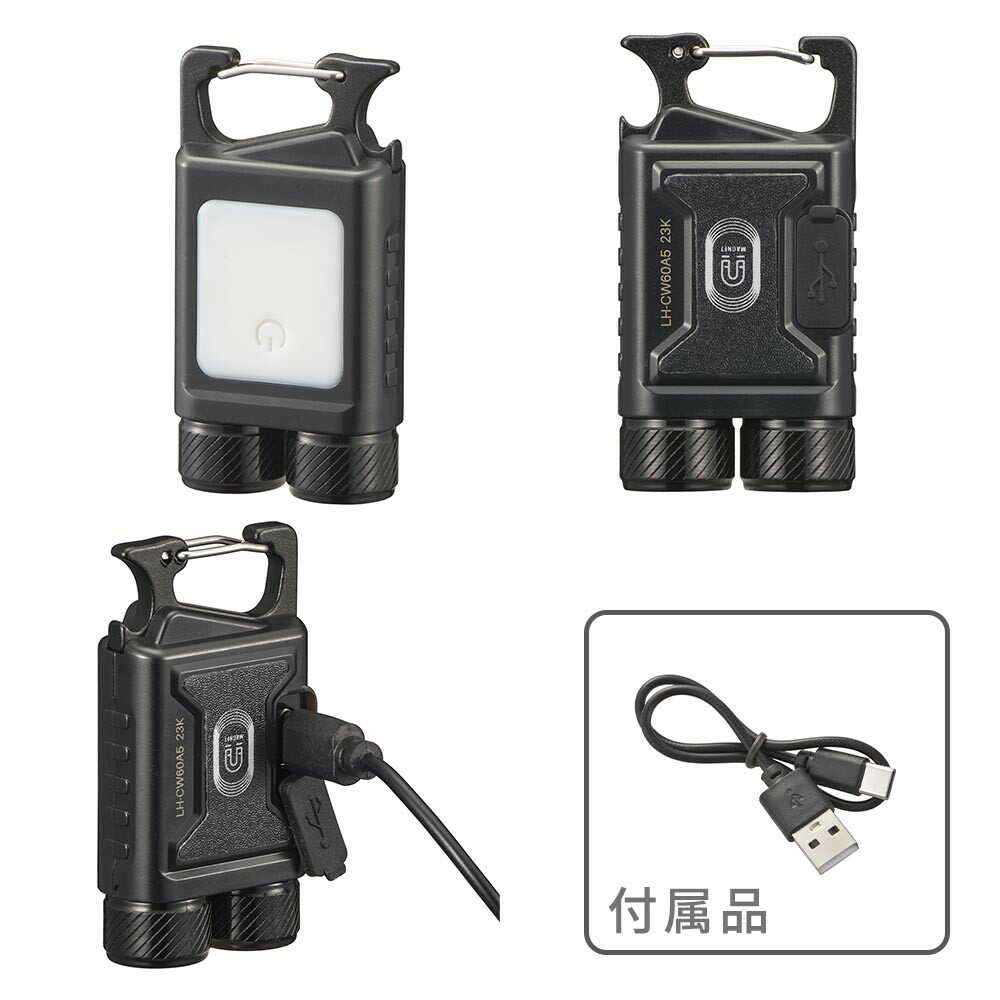 Ohm Electric Compact 2WAY 600 Lumens