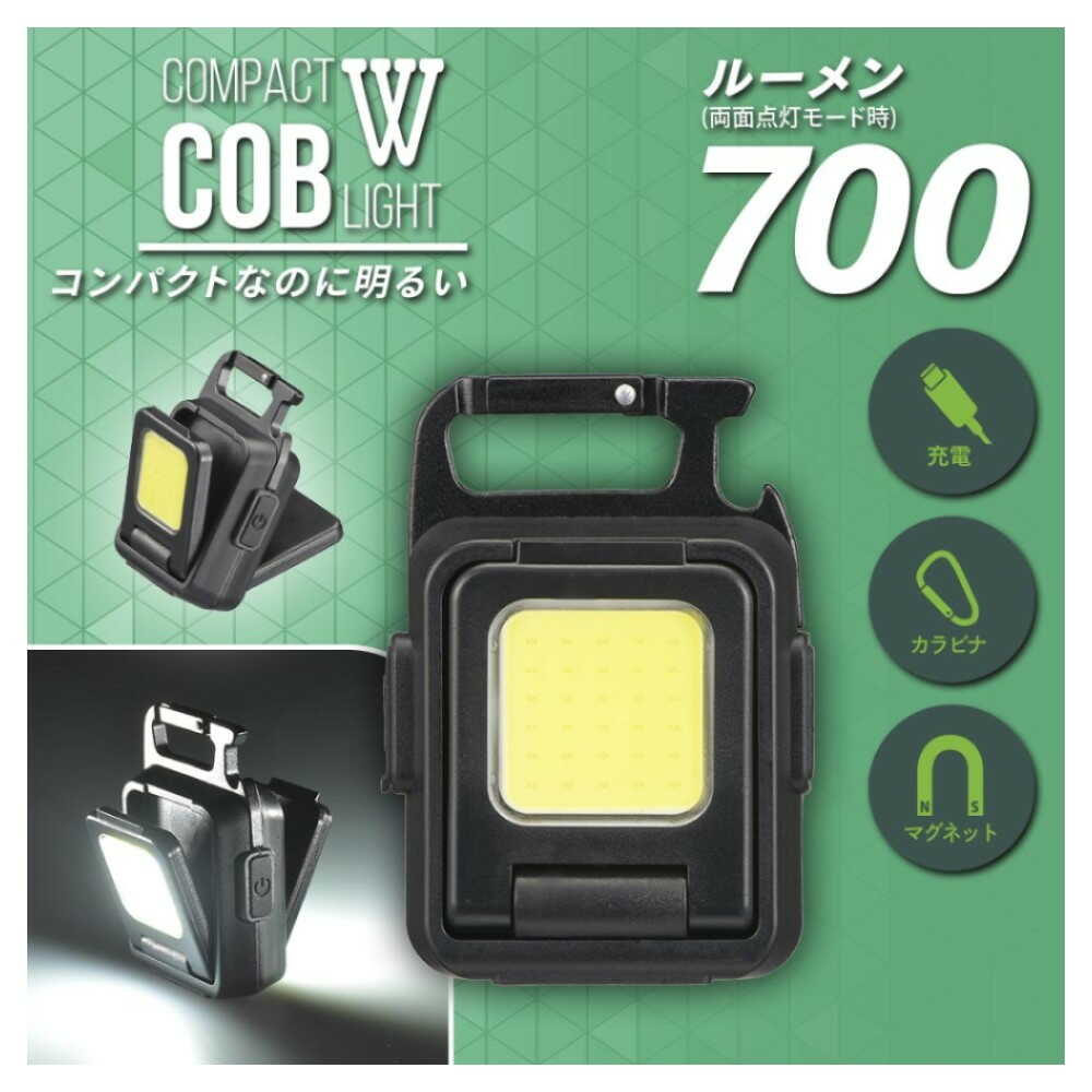 Ohm Electric Compact COB Light W 700 Lumens