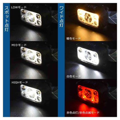 Ohm Electric LED Lamp with Light Lens