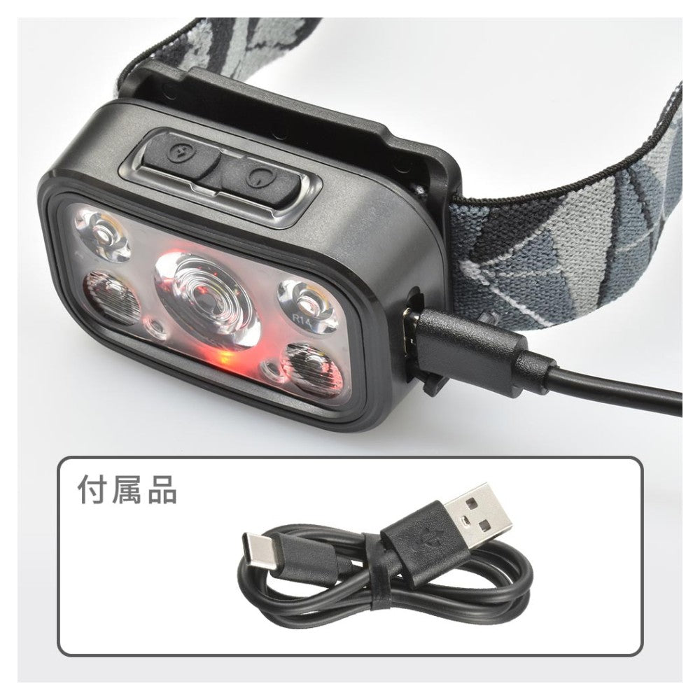 Ohm Electric LED Lamp with Light Lens