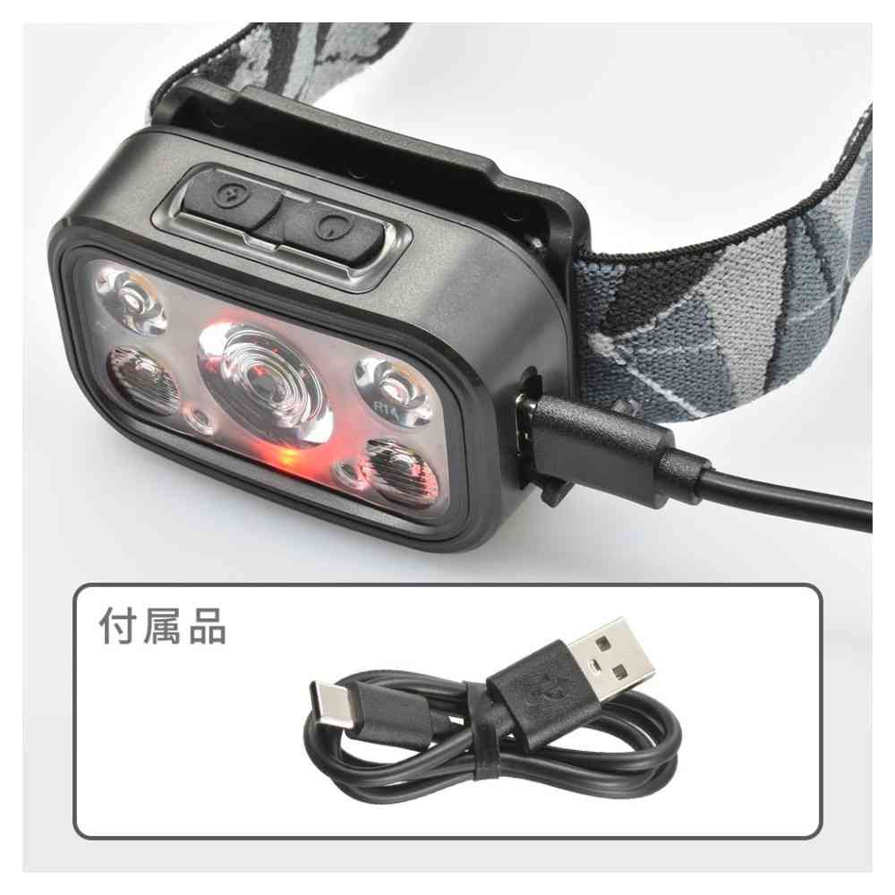 Ohm Electric LED Lamp with Light Lens