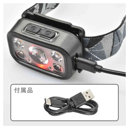 Ohm Electric LED Lamp with Light Lens