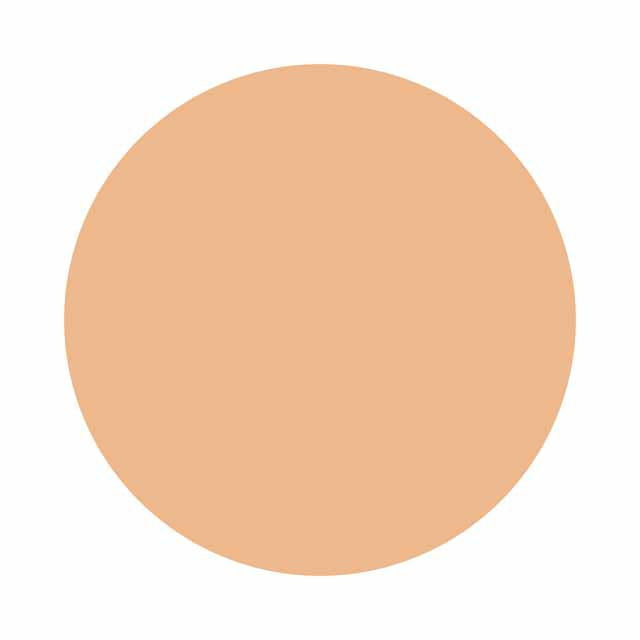 Kose Infinity Moisture Concentrate Foundation OC410