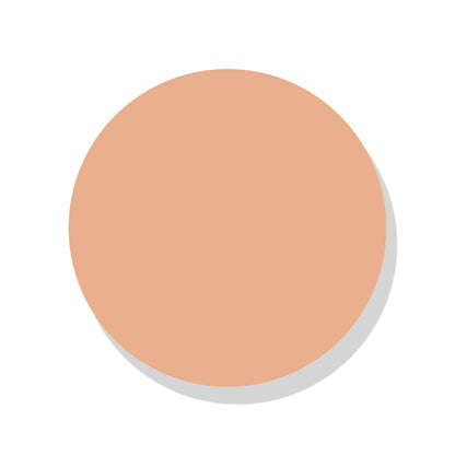 Kose Sekkisei Snow CC Powder 02 Natural Skin Tone 8g