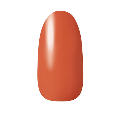 Nail Holic 207 5mL