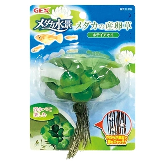 GEX Medaka Spawning Plant Water Hyacinth