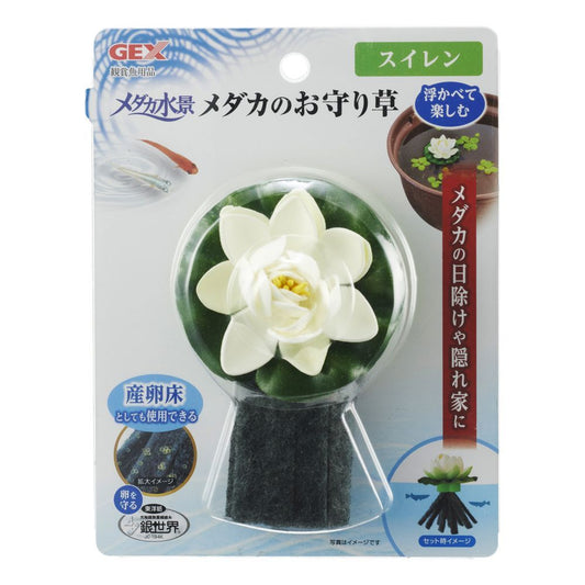 Jex Medaka Water Landscape Medaka Amulet Plant Water Lily