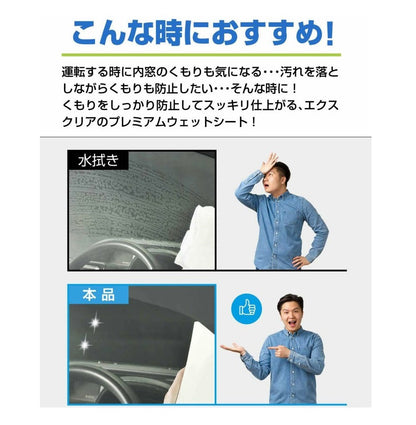 Carmate Exclear Premium Interior Window Wet Wipes Anti-Fog C179 12 Sheets
