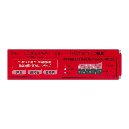 Kanebo KATE Lip Monster 20 3g