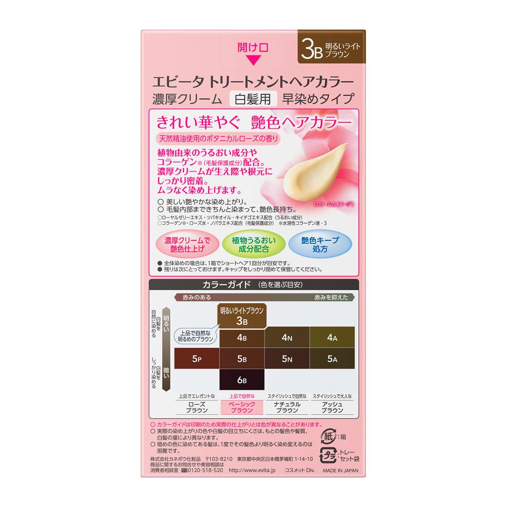 Kanebo Evita Treatment Hair Color 3B