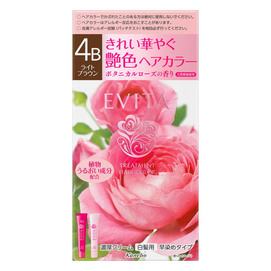 Kanebo Evita Treatment Hair Color 4B