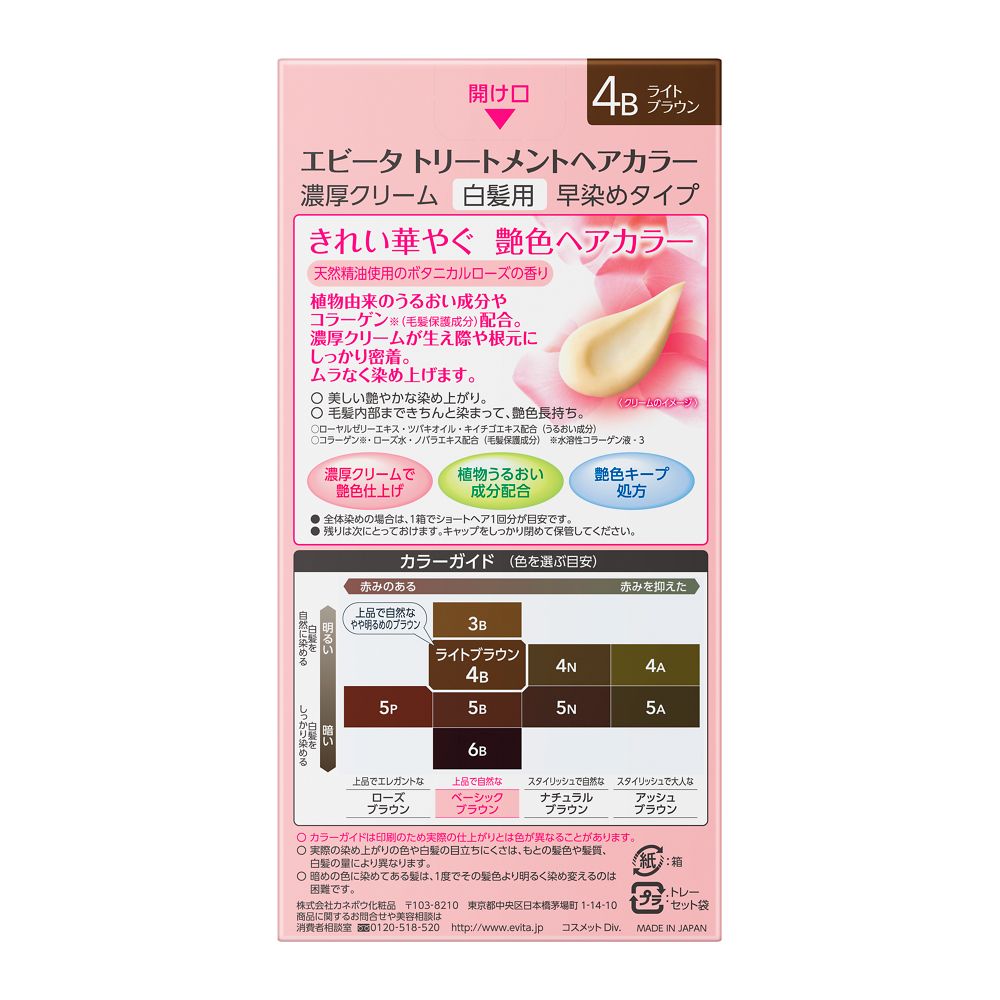 Kanebo Evita Treatment Hair Color 4B