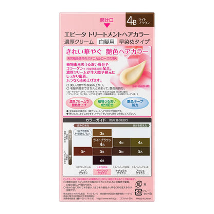 Kanebo Evita Treatment Hair Color 4B