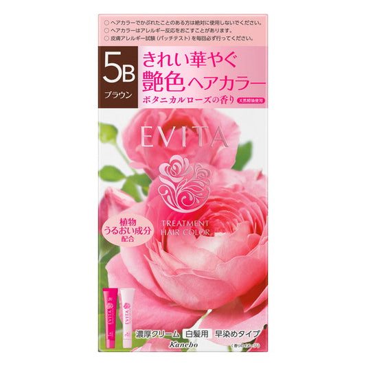 Kanebo Evita Treatment Hair Color 5B