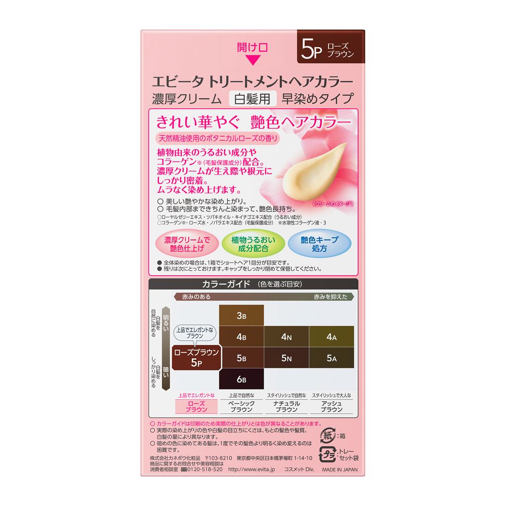 Kanebo Evita Treatment Hair Color 5P