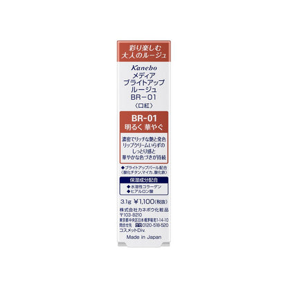 Kanebo Media Bright Up Rouge BR-01