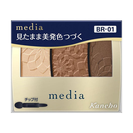 Kanebo Media Gradation Color Eyeshadow N BR-01 3.1g