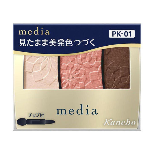 Kanebo Media Gradation Color Eyeshadow N PK-01 3.1g