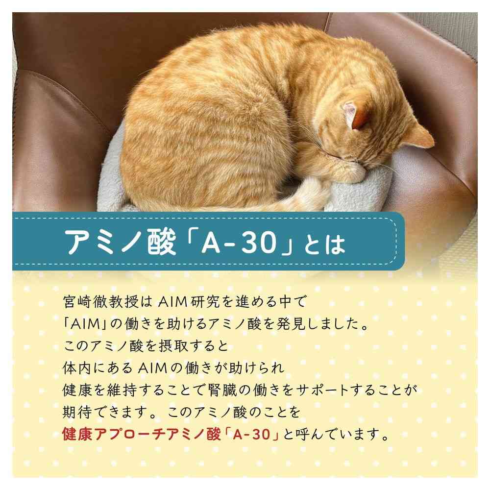 Marukan AIM30 Indoor Neutered Cat Food for Healthy Urinary Tract and Hairball Care - Chicken (600g)