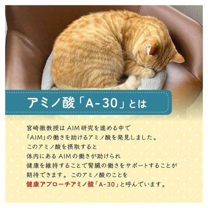 Marukan AIM30 Tuna Slices 30g