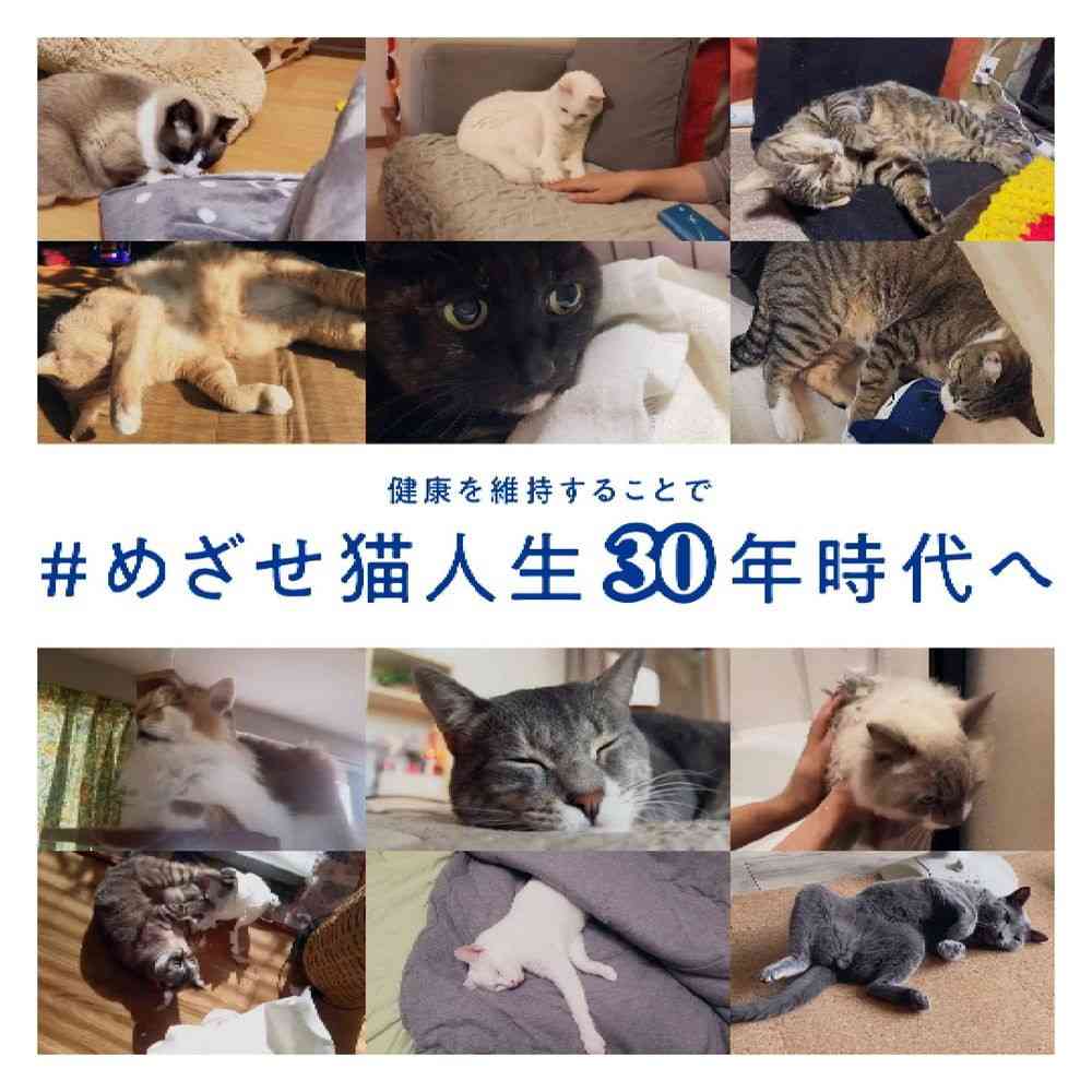 Marukan AIM30 Hairball Care Jerky 30g