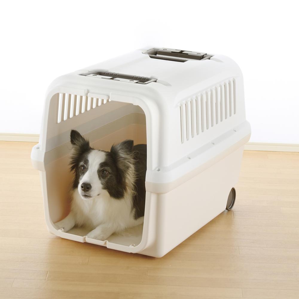 Camping Carrier L Ivory