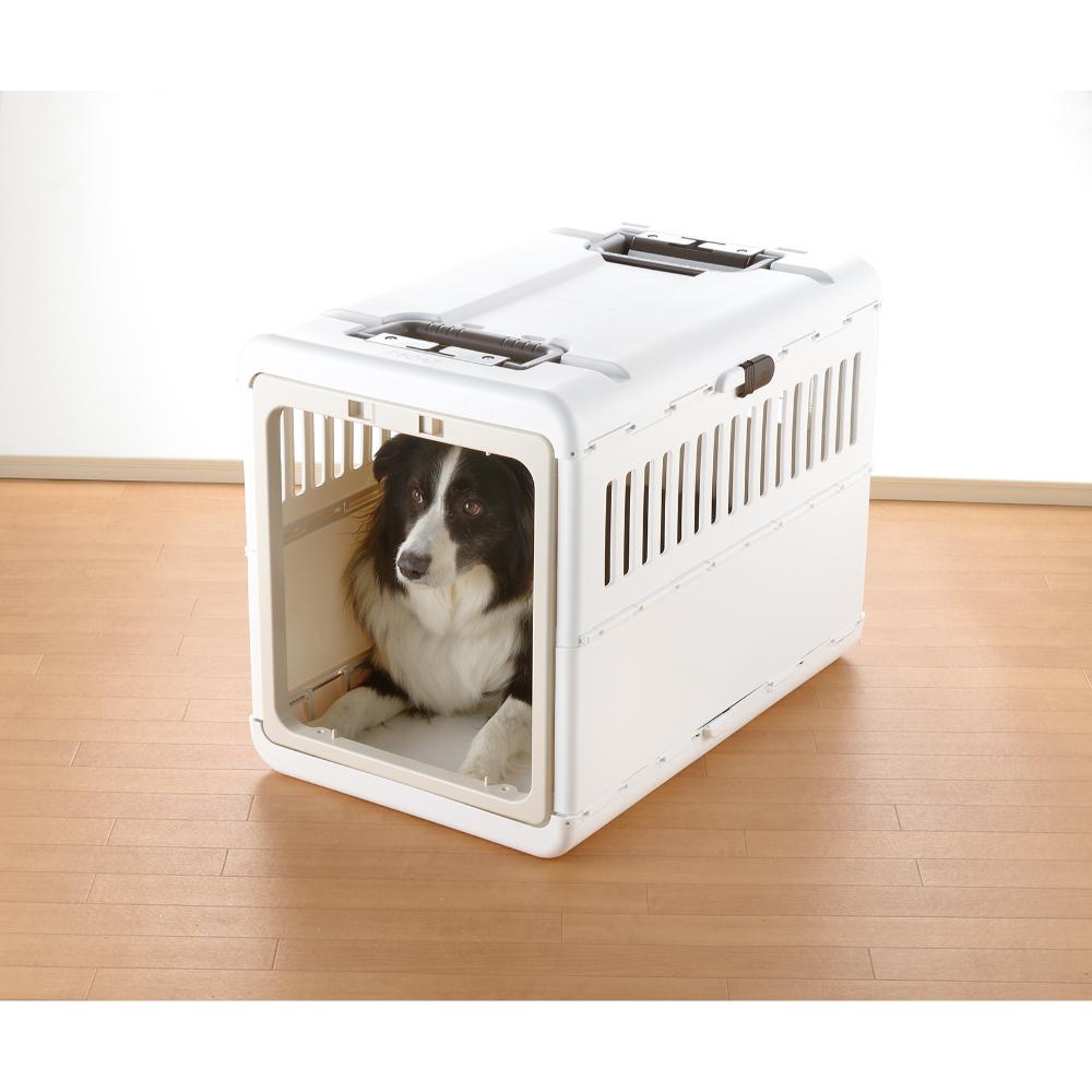 Camping Carrier Foldable L Ivory