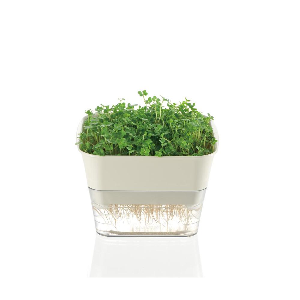 Richell Sprout Farm Ivory