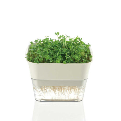 Richell Sprout Farm Ivory
