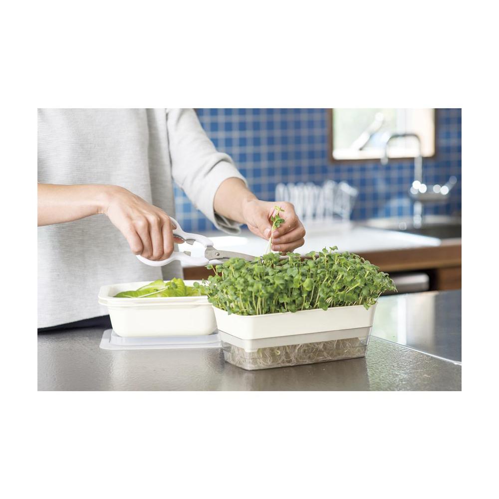 Richell Sprout Farm Ivory