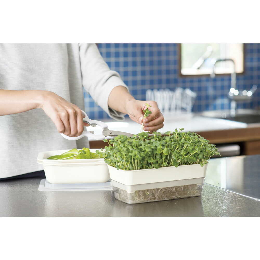 Richell Sprout Farm Ivory