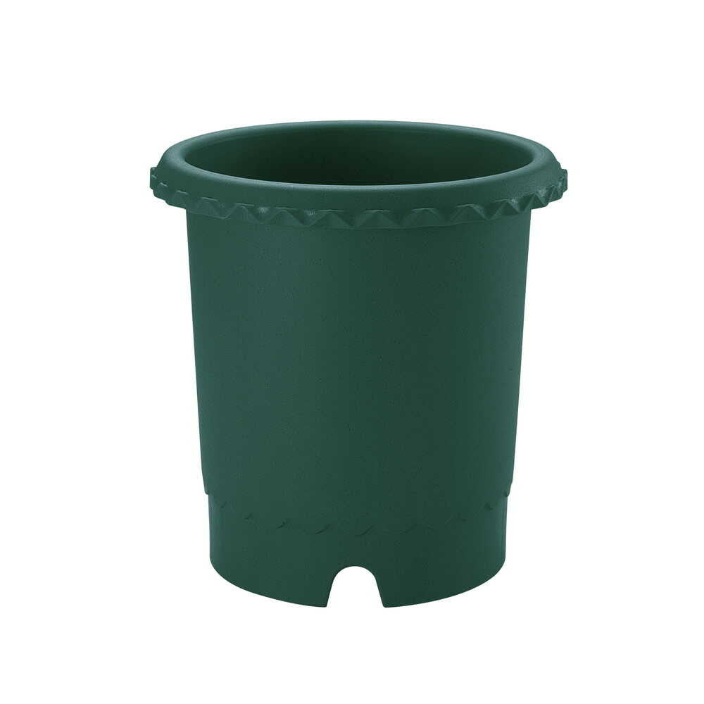 Richell Rose Pot Dark Green