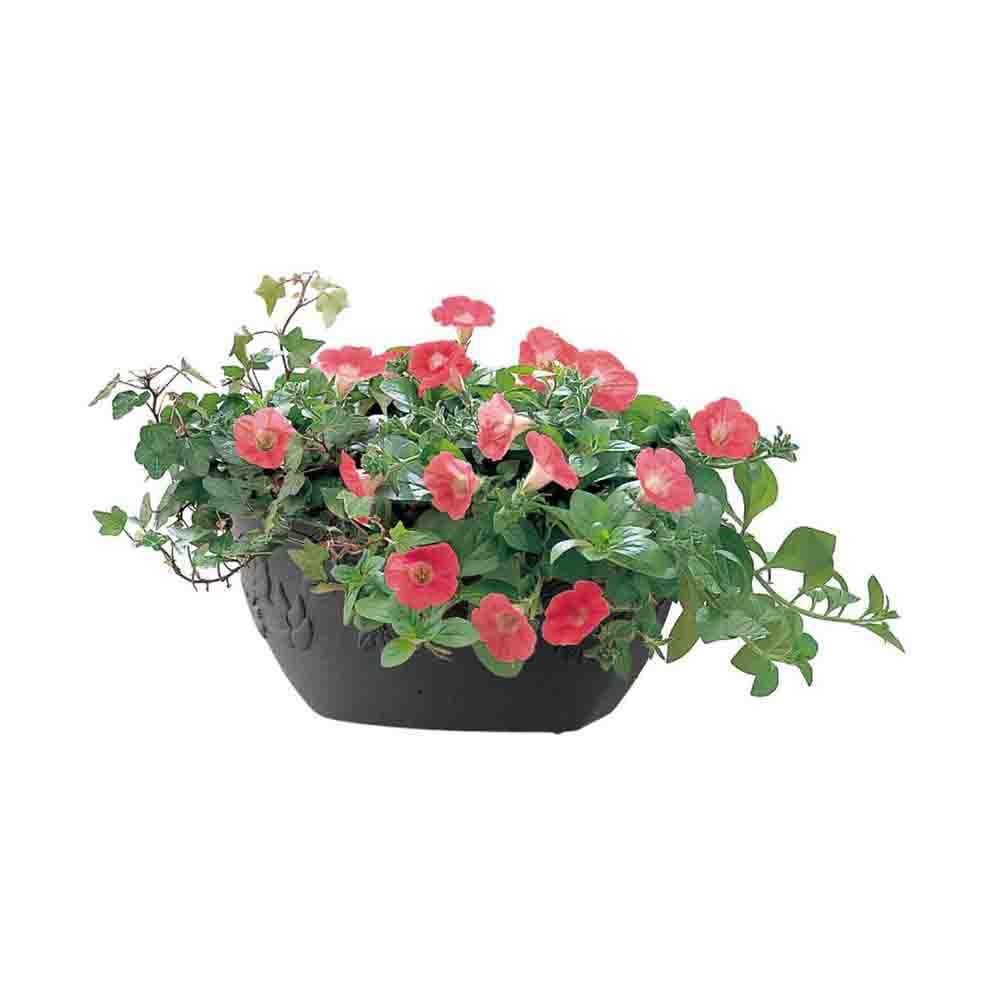 Richell Hanar Wall Planter Type 28