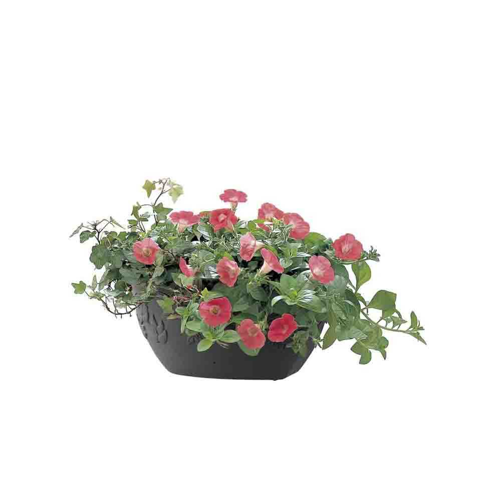 Richell Hanar Wall Planter Type 34