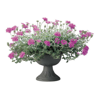 Richell Hanar Stand Cup Dark Gray