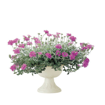 Richell Hanar Stand Cup Ivory