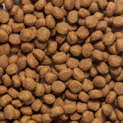 Dogyman Hayashi Daily Deru Deru Rice Skin & Coat and Digestive Health Care 200g